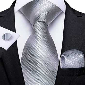Amazon.co.jp: FXJ 男性用ネクタイ シルバー グレー ストライプ